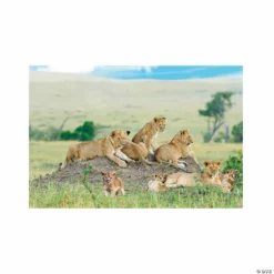 African Safari VBS Lion Backdrop - 3 Pc.