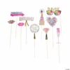 Bachelorette Bash Photo Stick Props - 10 Pc.