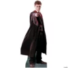 Harry Potter Cardboard Stand-Up 1 Harry Potter Cardboard Stand-Up -DIY Photo Booth Shop harry potter cardboard stand up13577408