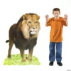 Lion Cardboard Stand-Up 1 Lion Cardboard Stand-Up -DIY Photo Booth Shop lion cardboard stand up13643194