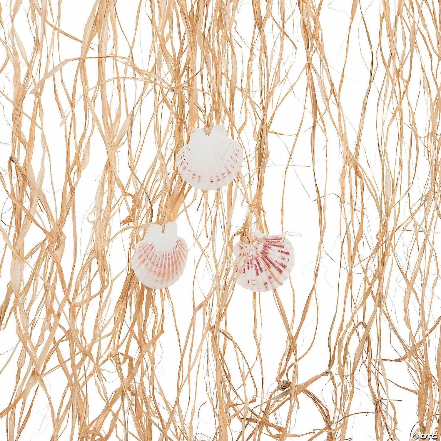Raffia with Shells Curtain Backdrop 4 Raffia with Shells Curtain Backdrop - Image 2