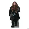 The Hobbit: Gloin Life-Size Cardboard Stand-Up -DIY Photo Booth Shop the hobbit gloin life size cardboard stand up13612569