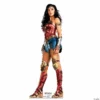 Wonder Woman 1984 Stand-Up -DIY Photo Booth Shop wonder woman 1984 stand up14101112